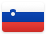 Slovenia country flag